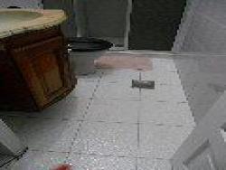 Apartamento para Venda em Santos - 4