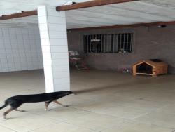 Casa para Venda em Santos - 4