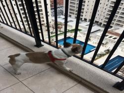 #1529 - Apartamento para Venda em Santos - SP