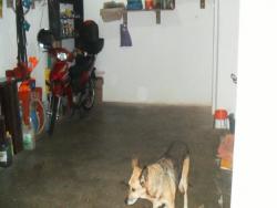 #0298 - Apartamento para Venda em Santos - SP